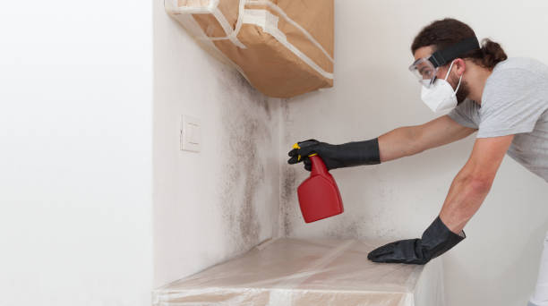 Professional Attic Mold Remediation technician working in Riverton, NJ