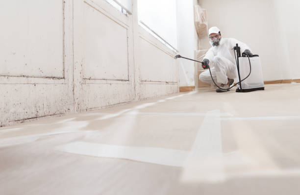 24/7 Emergency Attic Mold Remediation experts in Riverton, NJ