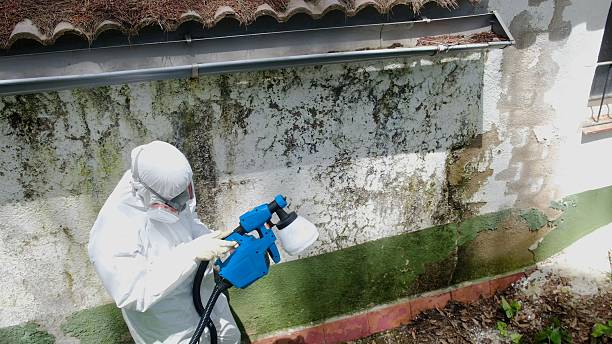 Top rated local Attic Mold Remediation specialists in Riverton, NJ